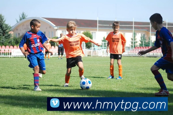 pg电子平台生态图